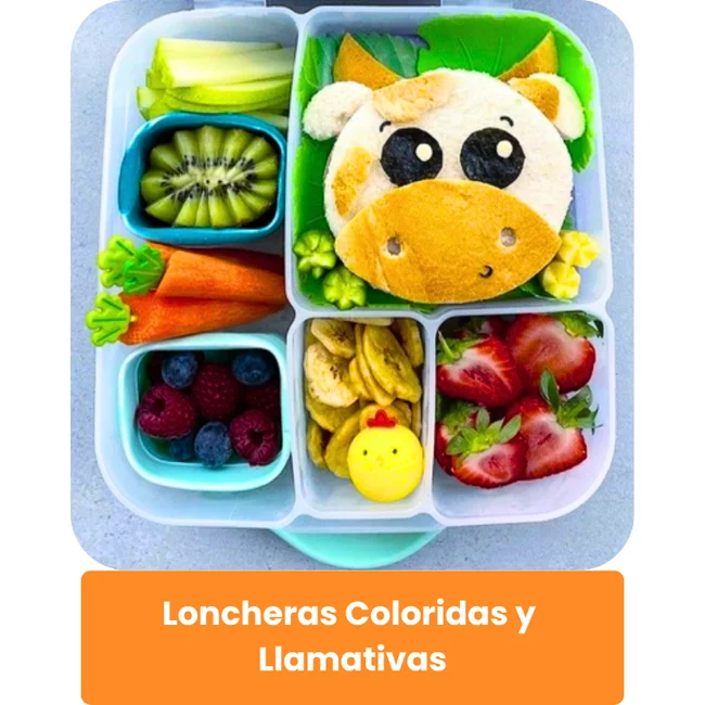 LONCHERAS coloridaswp